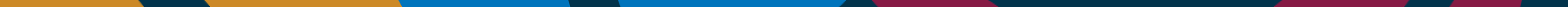 Footer bottom graphic